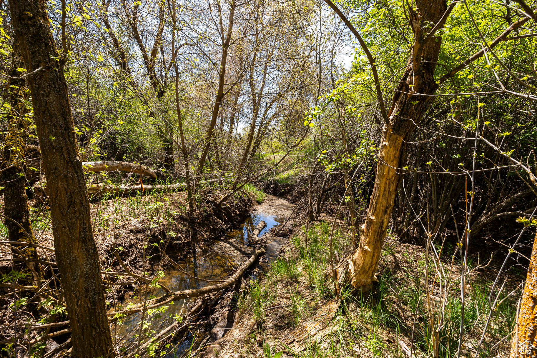 SLEEPY HOLLOW - Land