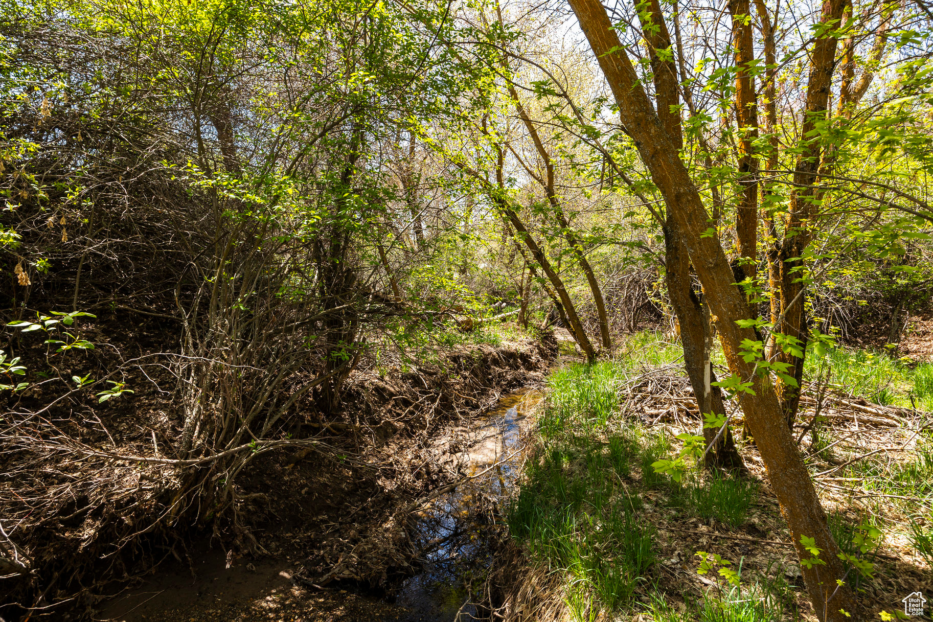 SLEEPY HOLLOW - Land