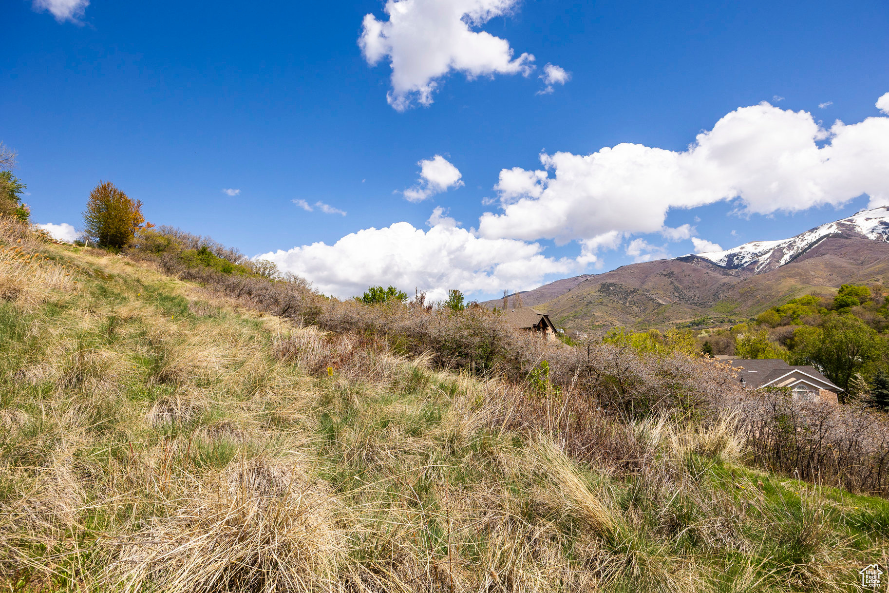 SLEEPY HOLLOW - Land