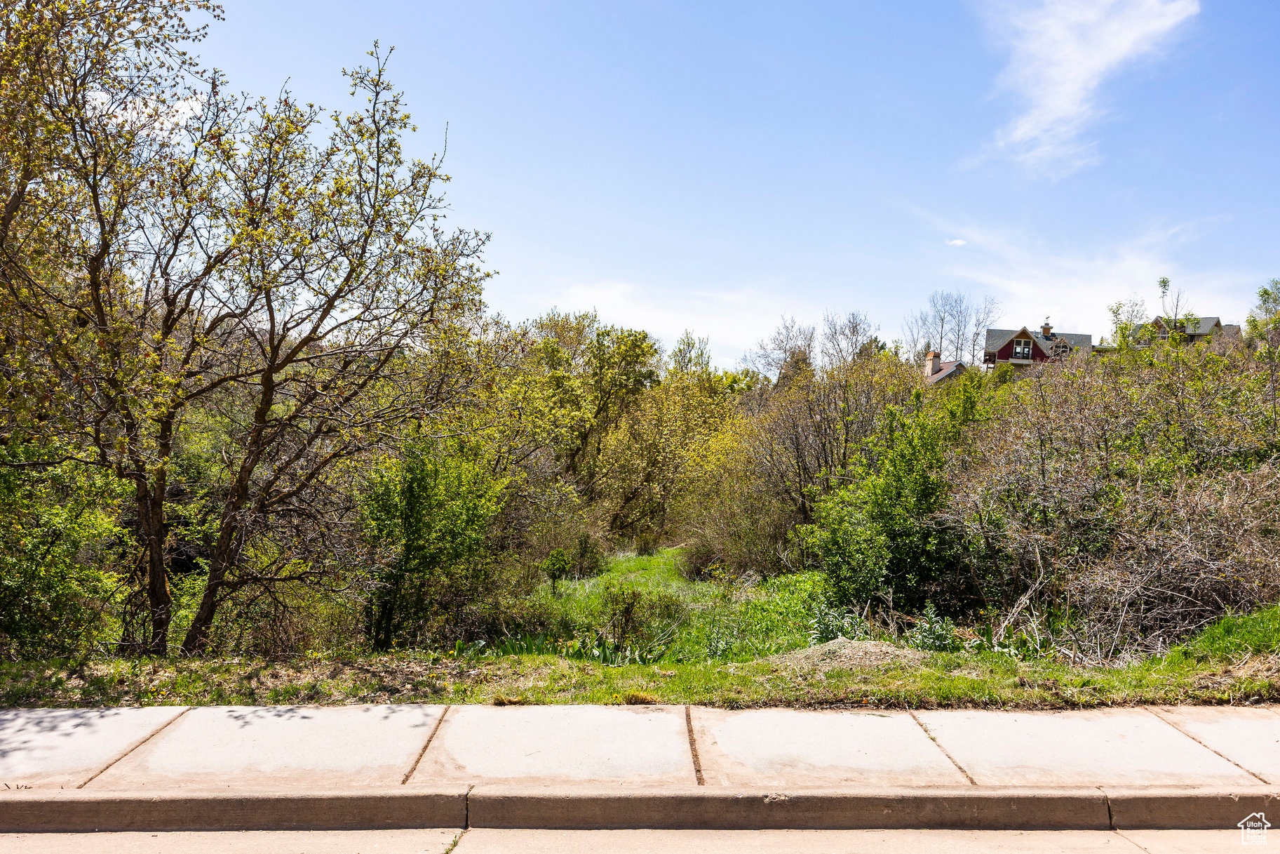 SLEEPY HOLLOW - Land