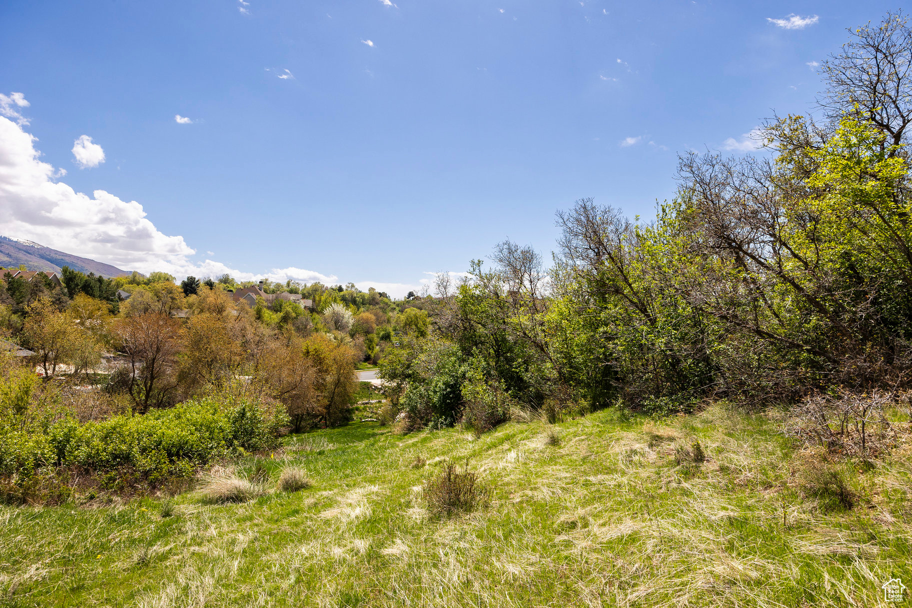 SLEEPY HOLLOW - Land