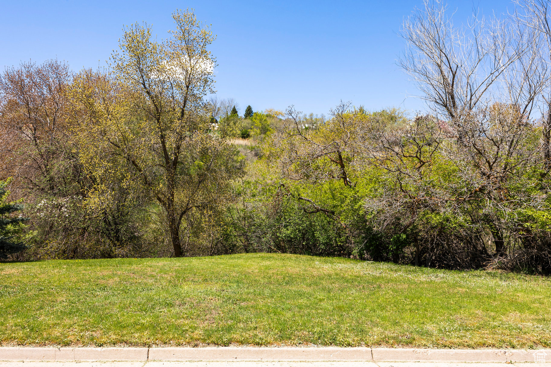 SLEEPY HOLLOW - Land