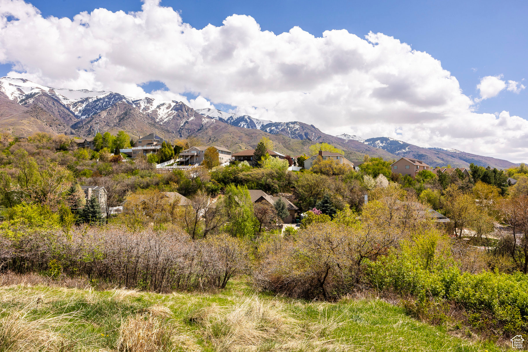 SLEEPY HOLLOW - Land