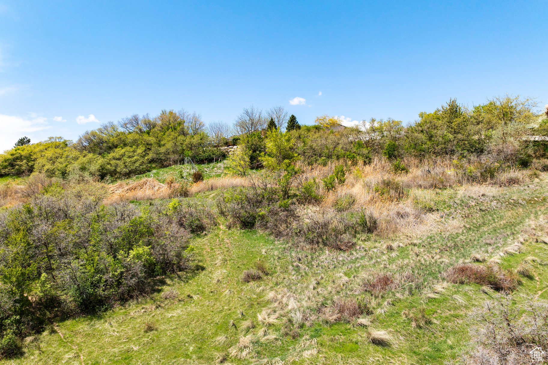 SLEEPY HOLLOW - Land