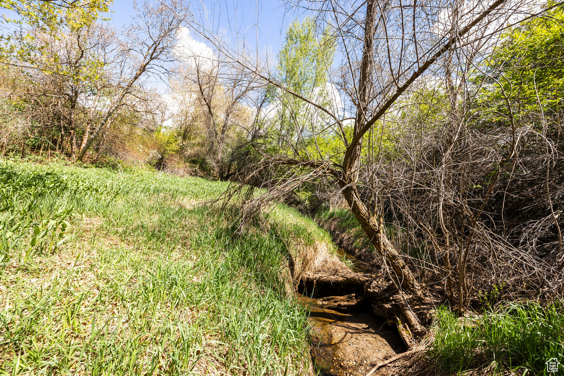 SLEEPY HOLLOW - Land