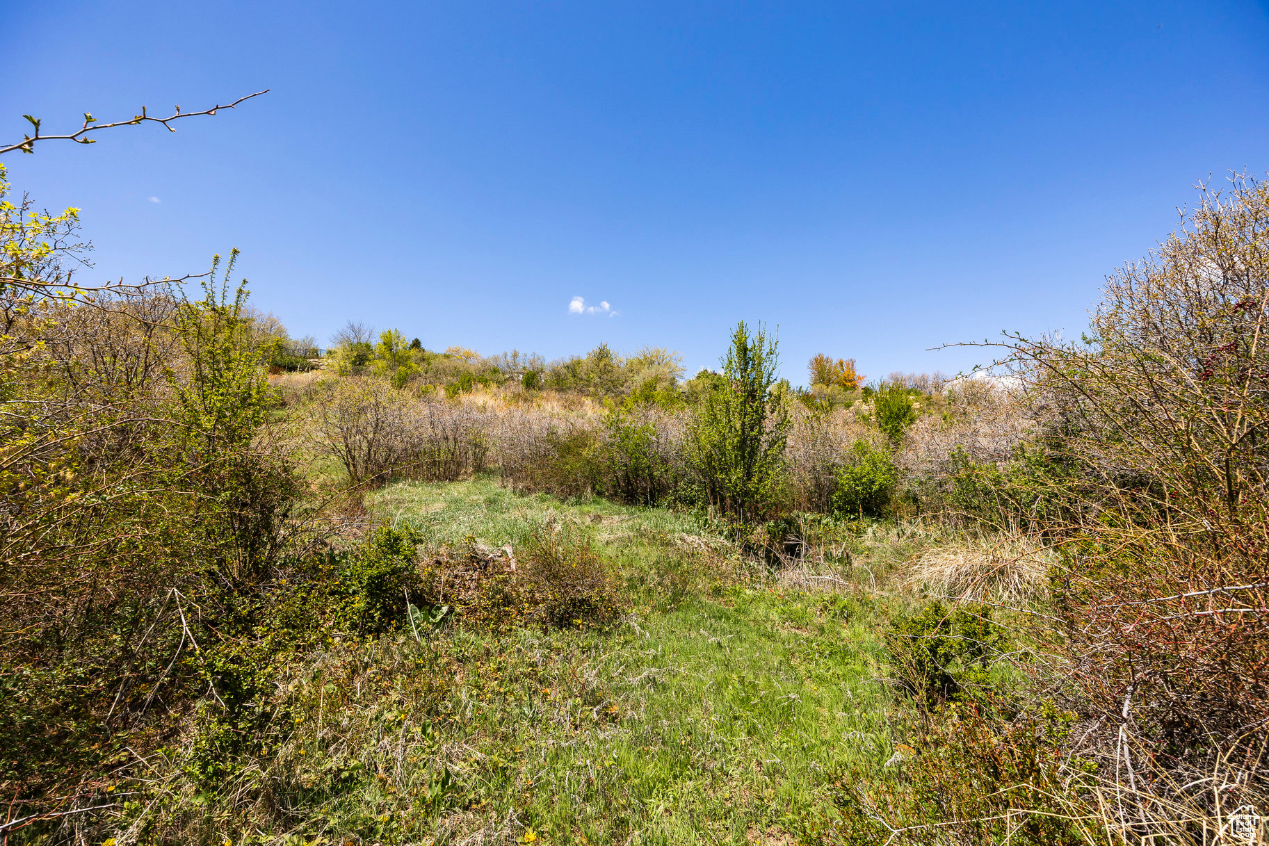 SLEEPY HOLLOW - Land