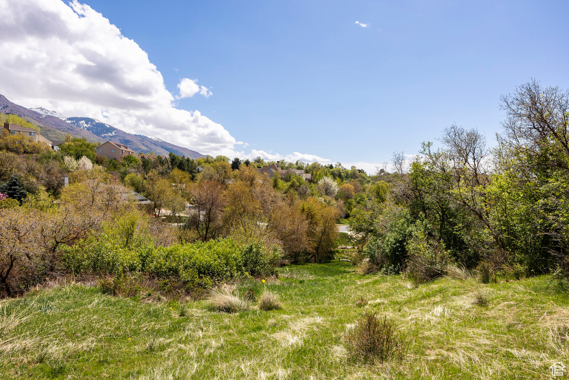 SLEEPY HOLLOW - Land