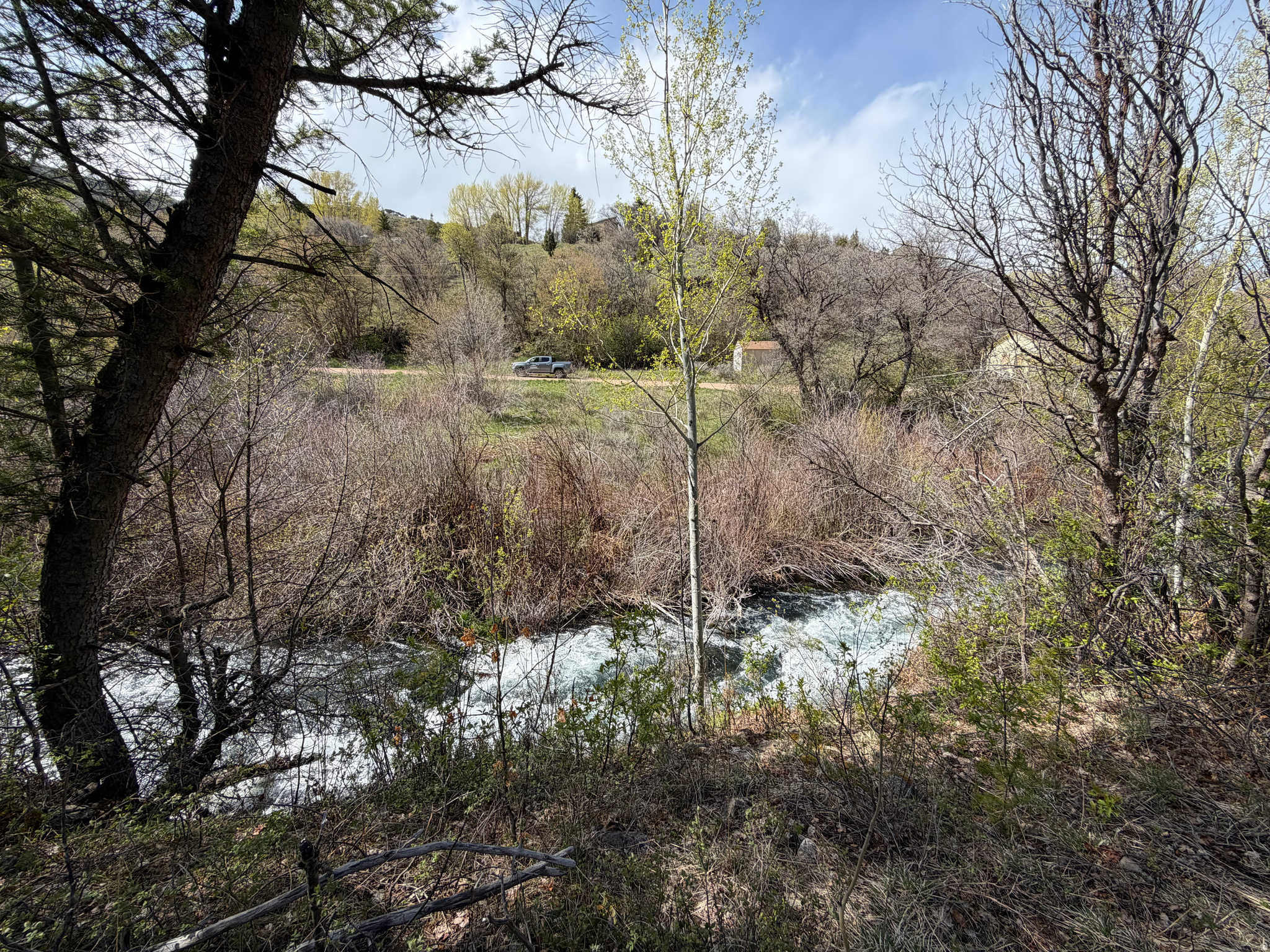 SWAN CREEK SPRING SUB - Land