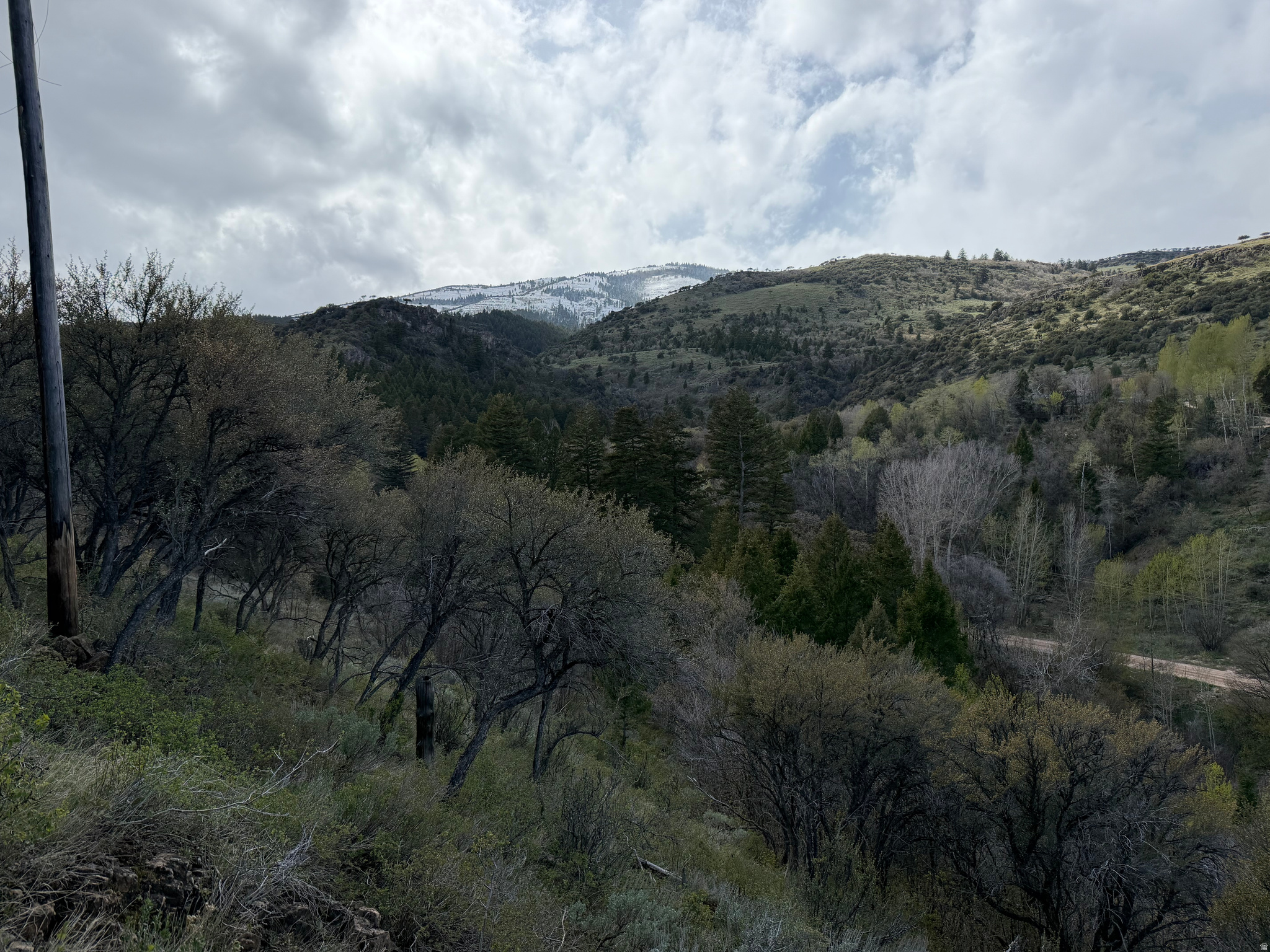 SWAN CREEK SPRING SUB - Land