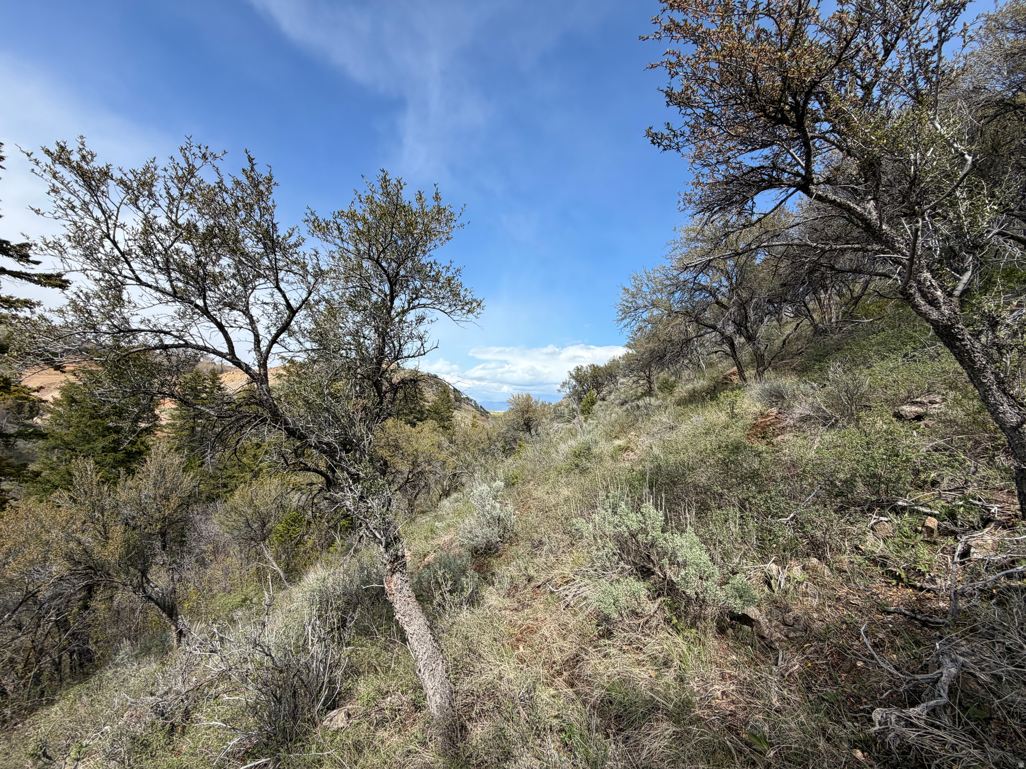 SWAN CREEK SPRING SUB - Land