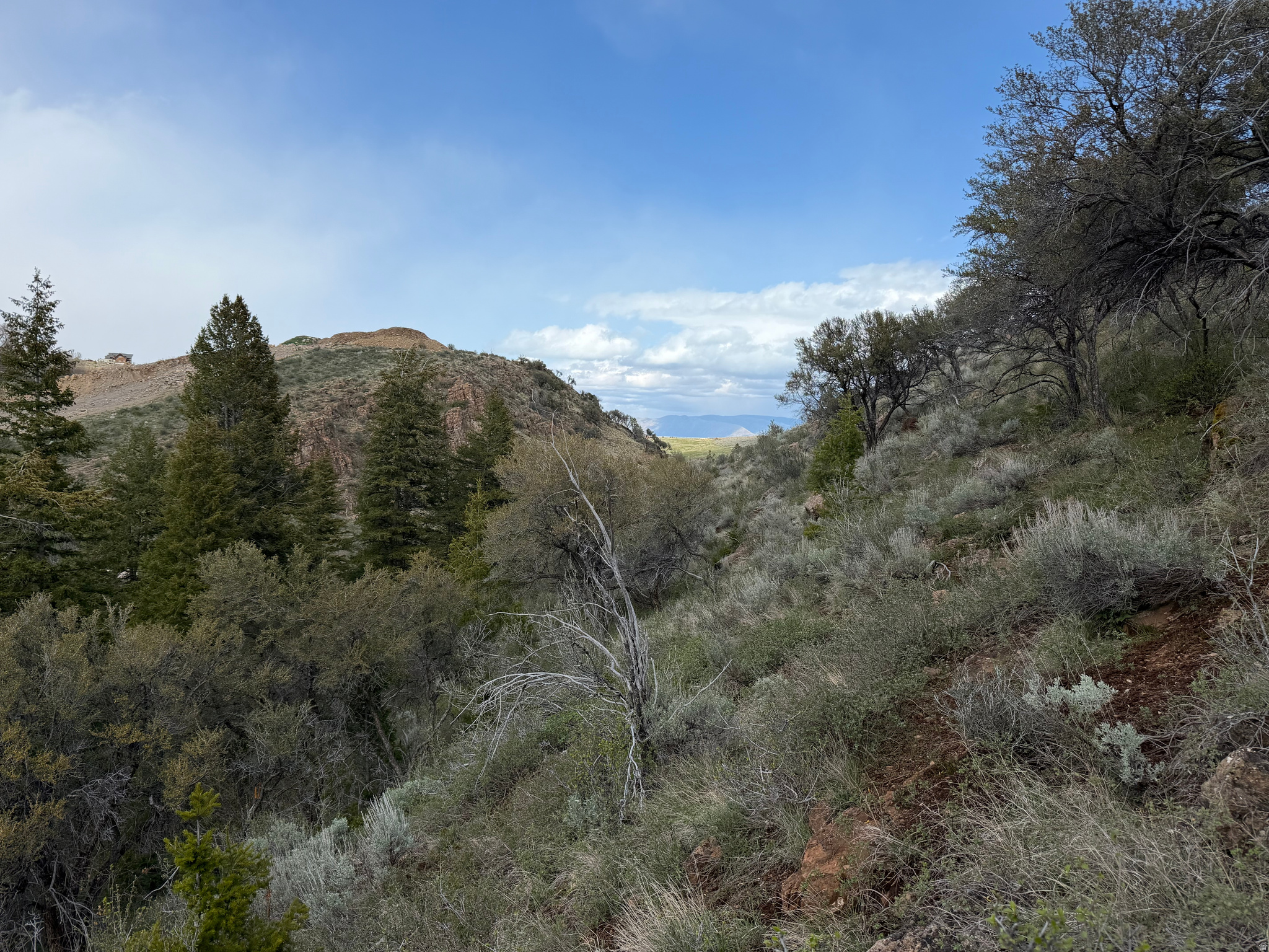 SWAN CREEK SPRING SUB - Land