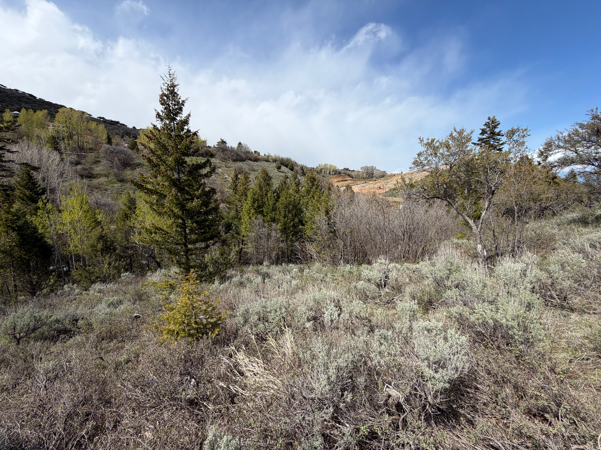 SWAN CREEK SPRING SUB - Land