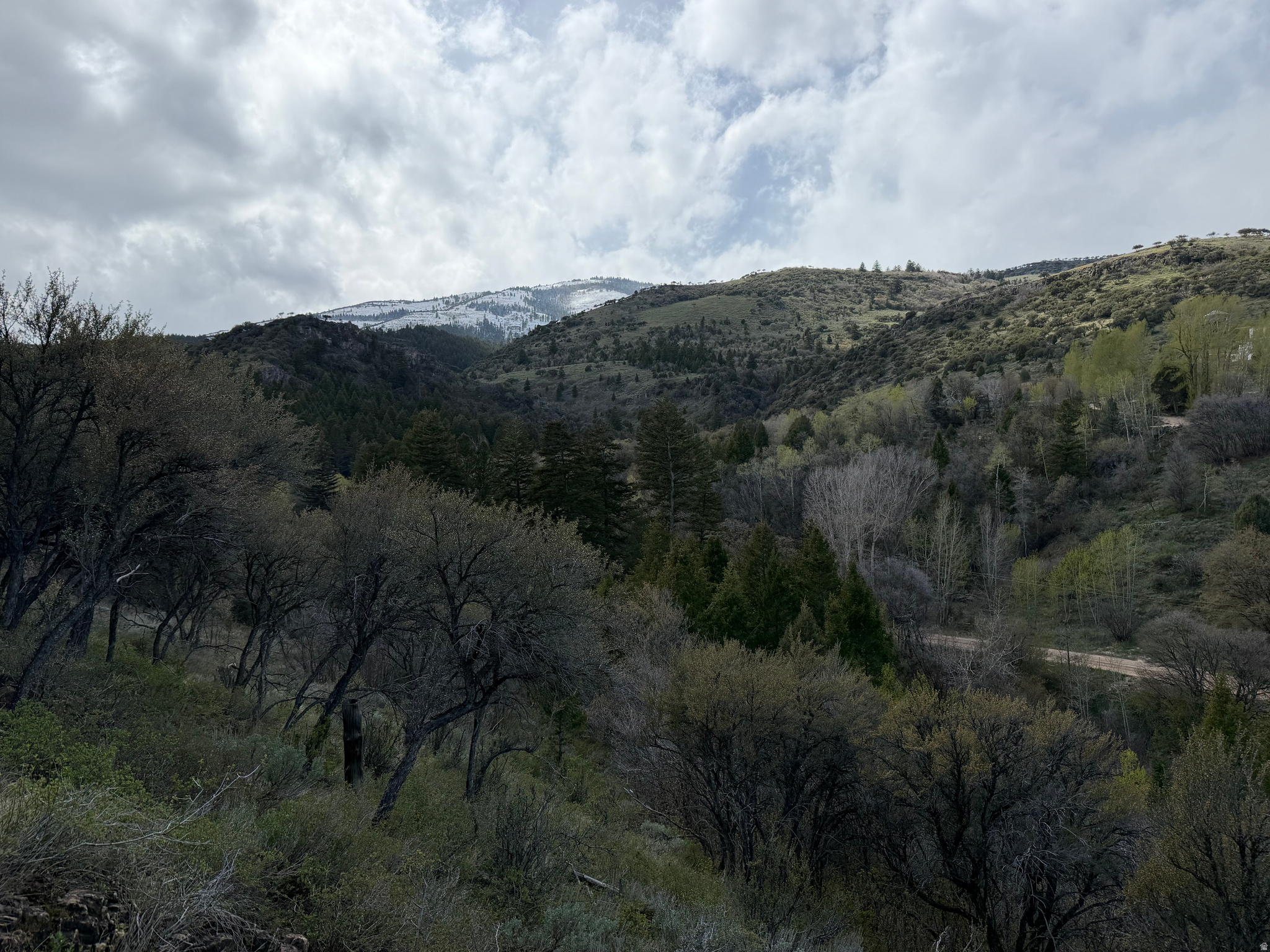 SWAN CREEK SPRING SUB - Land