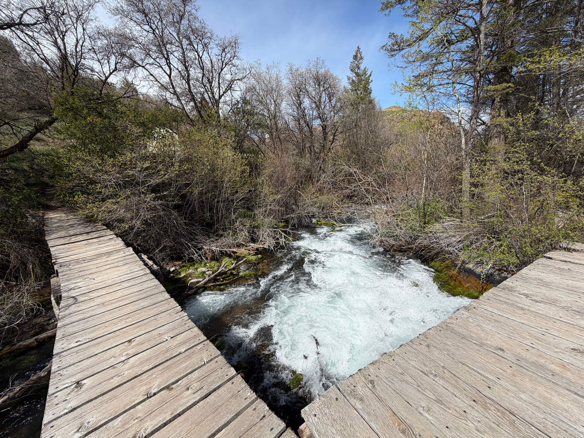 SWAN CREEK SPRING SUB - Land