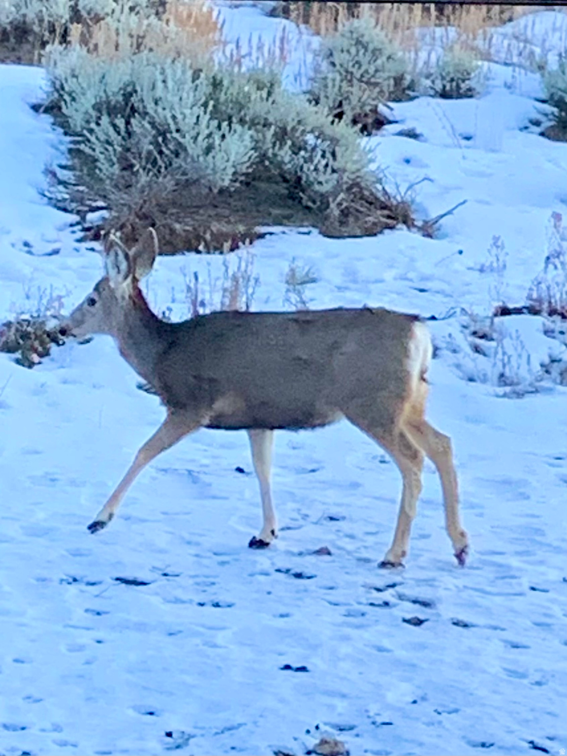 CROSSINGS AT LAKE CREEK - Residential