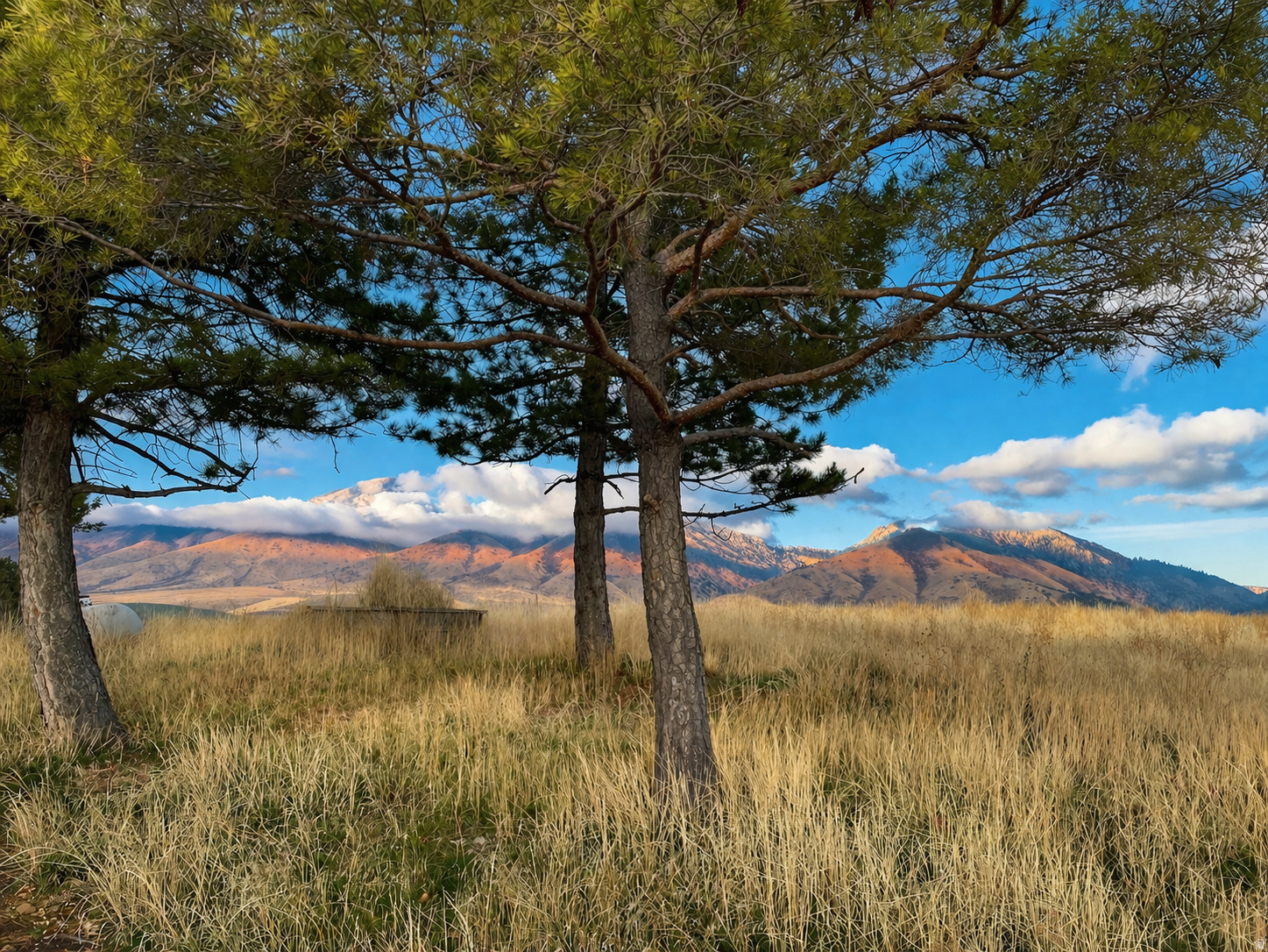 CHARLIEVILLE - Residential