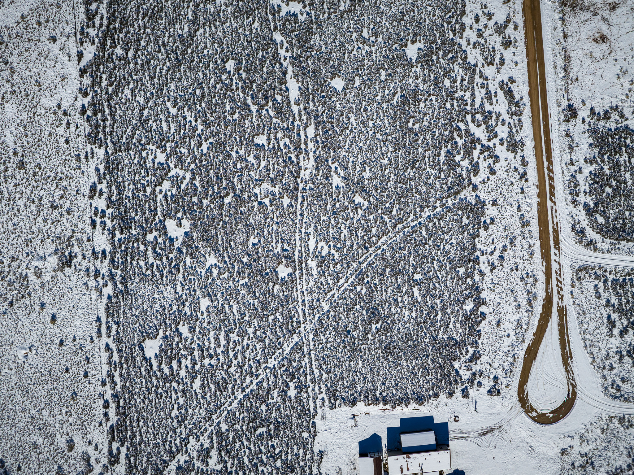 BEEMAN ESTATES - Land