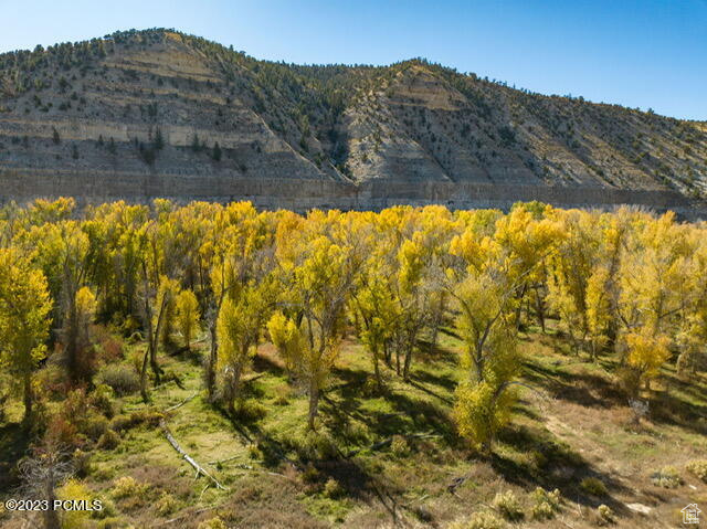 5,020 Acre River Ranch, 2,400 ac/ft Water, Development Opportunities...  The Strawberry River Ranch located in Duchesne County encompasses 5,020 acres of some of the most beautiful river land in Utah. It reaches extensively along the Strawberry River between Starvation Reservoir and the Strawberry Pinnacles. In addition to being a rare river property, this ranch is defined by substantial and valuable water rights comprising approximately 2,400 acre-feet of water.  3,741 acres of the ranch encompass a large percentage of Indian Canyon to the east of the main ranch.  Historically the ranch runs around 300 head of cattle, all on deeded ranch land. Additionally, the ranch produces hay. Included are five pivots, tractors, bailer, leveler, and other associated haying and ranch equipment.   Recreationally, big game, upland, and waterfowl hunting opportunities are abundant and exceptional on the ranch. Included with the property are several deer and elk landowner tags.  The Strawberry River has historically been considered a world-class trout water with the 16-mile section above the ranch, (tail water of Strawberry Reservoir,) being managed as a blue ribbon trout habitat by the Nature Conservancy and the State of Utah. This section was negatively impacted by the Dollar Ridge fire of 2018. Since then extensive efforts by the State has it recovering well on its way back as a world-class fishery. The 4 miles of river running through the ranch does not have public access.  The ranch section of the river historically holds a healthy population of large brown trout, Rainbow trout, and Colorado River Cutthroat. In the fall, the Ranch sees Brown trout and Kokanee salmon spawning up from the adjacent Starvation Reservoir.   The Ranch is primarily located between Strawberry Reservoir-- considered to be one of the top-producing lake fisheries in the state-- and Starvation Reservoir, another excellent fishery.  The Ranch is a 1-hour drive time I-40 from Heber Valley-- currently one of the fastest growing municipalities in the country.