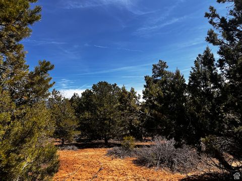 Vacant Land For Sale - 10650 W Zion Ridge Dr<br/> Kane County, Orderville, UT 84758