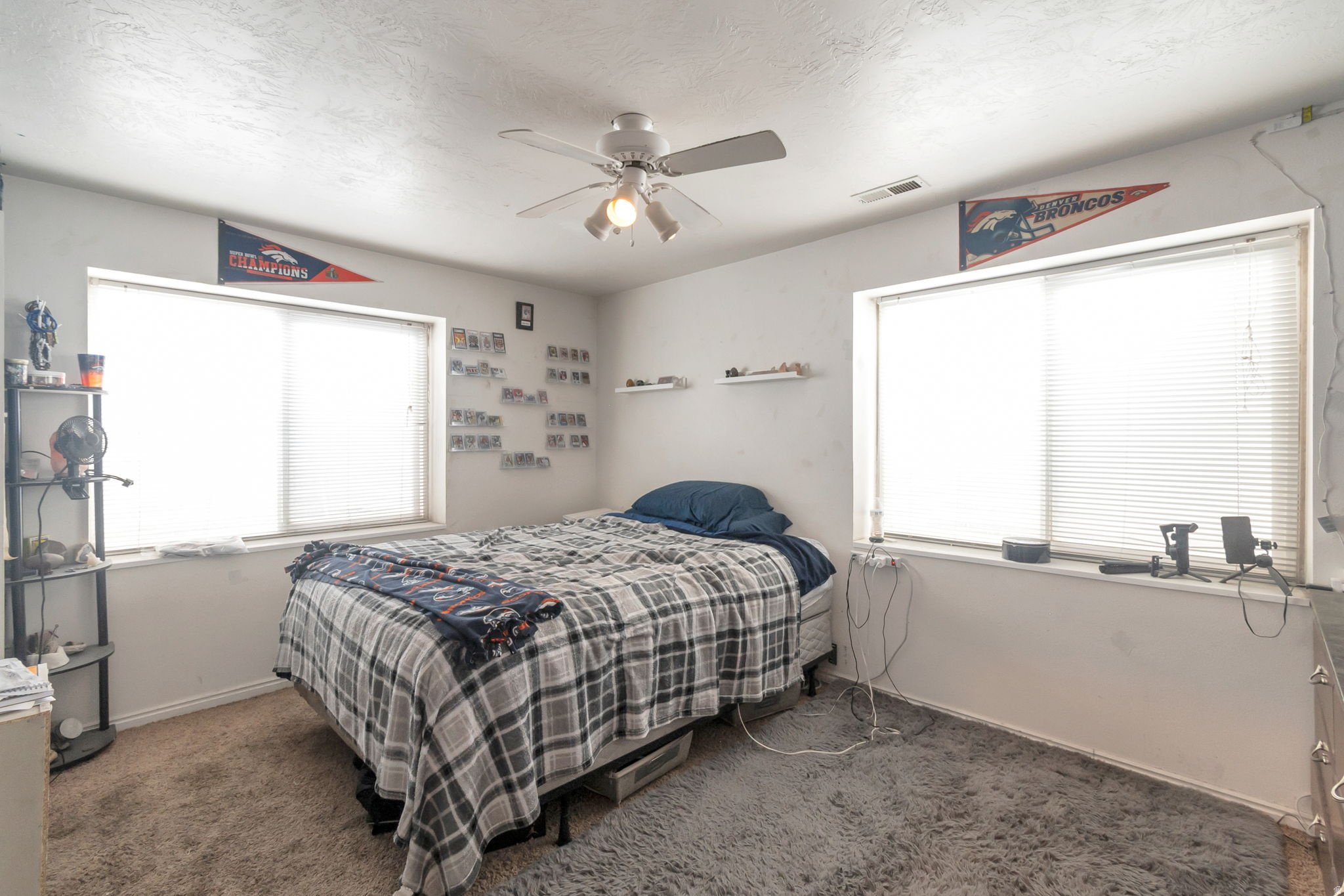 CARRIAGE TOWNE MEADOWS - Residential