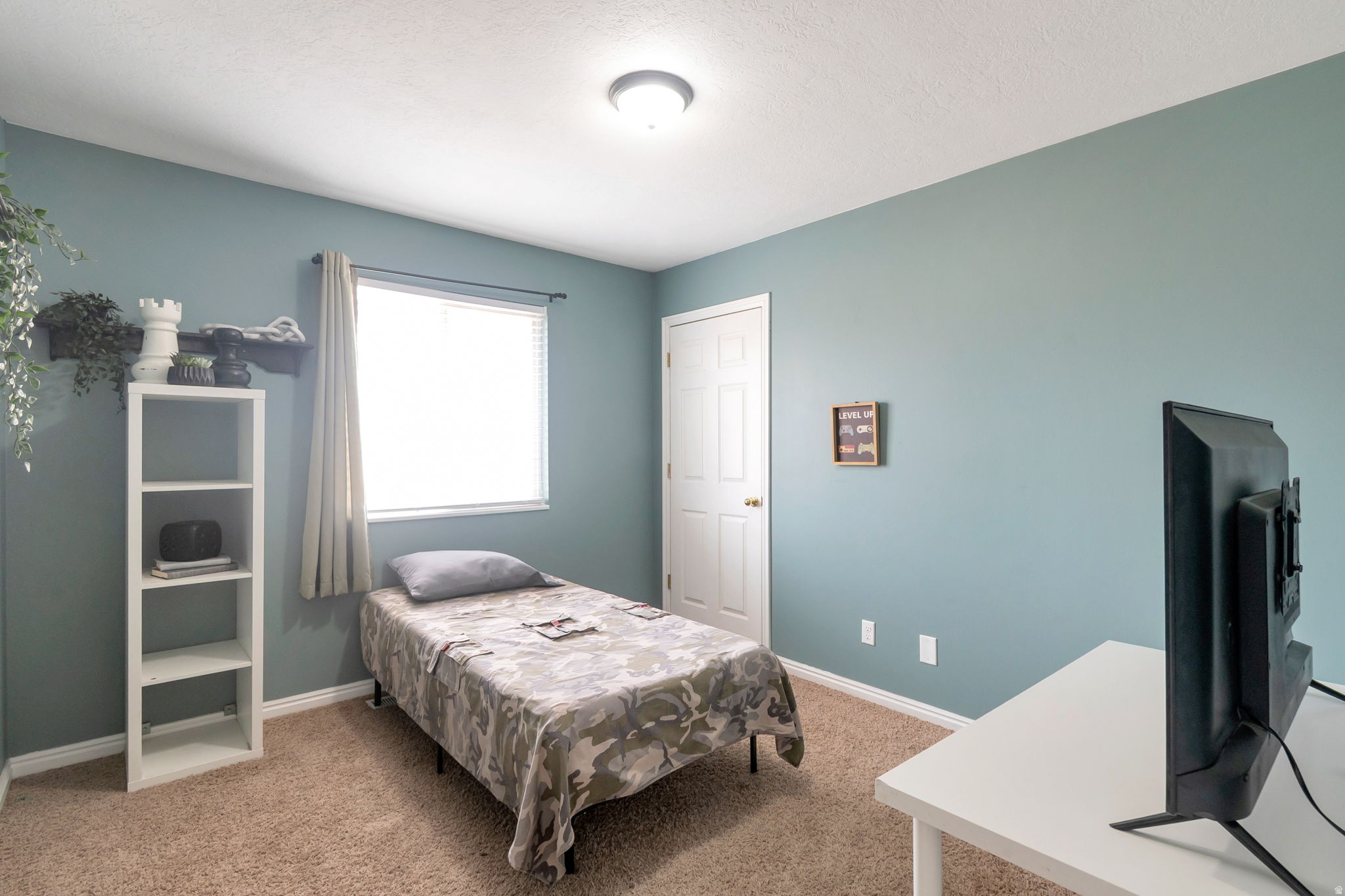 CARRIAGE TOWNE MEADOWS - Residential