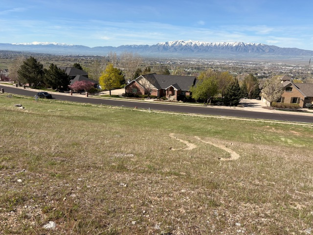 CANYON RIDGE ESTATES - Land