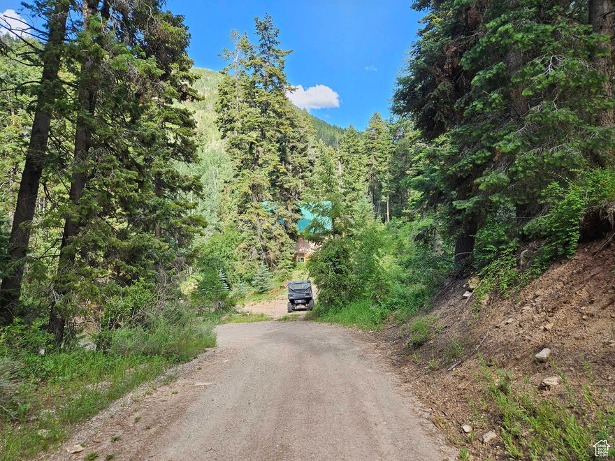 Pine Creek Acres Subdivision, Lot 30. This property is covered in pine trees and there are several nice cabins in the immediate area.  Property has potential for a cabin site or a camp site. Good road access to property except for winter months. Property is located in the mid section of the subdivision in the Manti La Sal Mountains. This is a gated community, contact listing agent for access to the property.