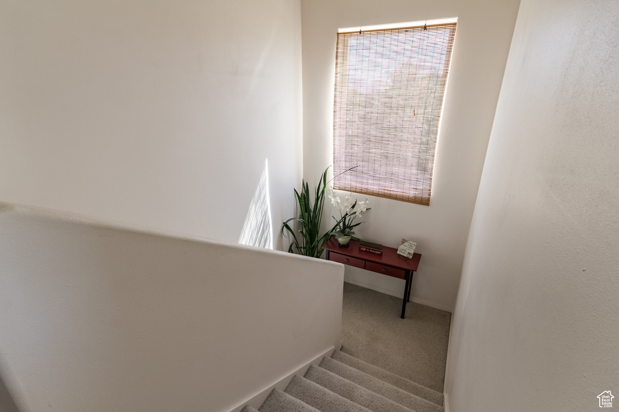 SOUTHTOWN - Residential
