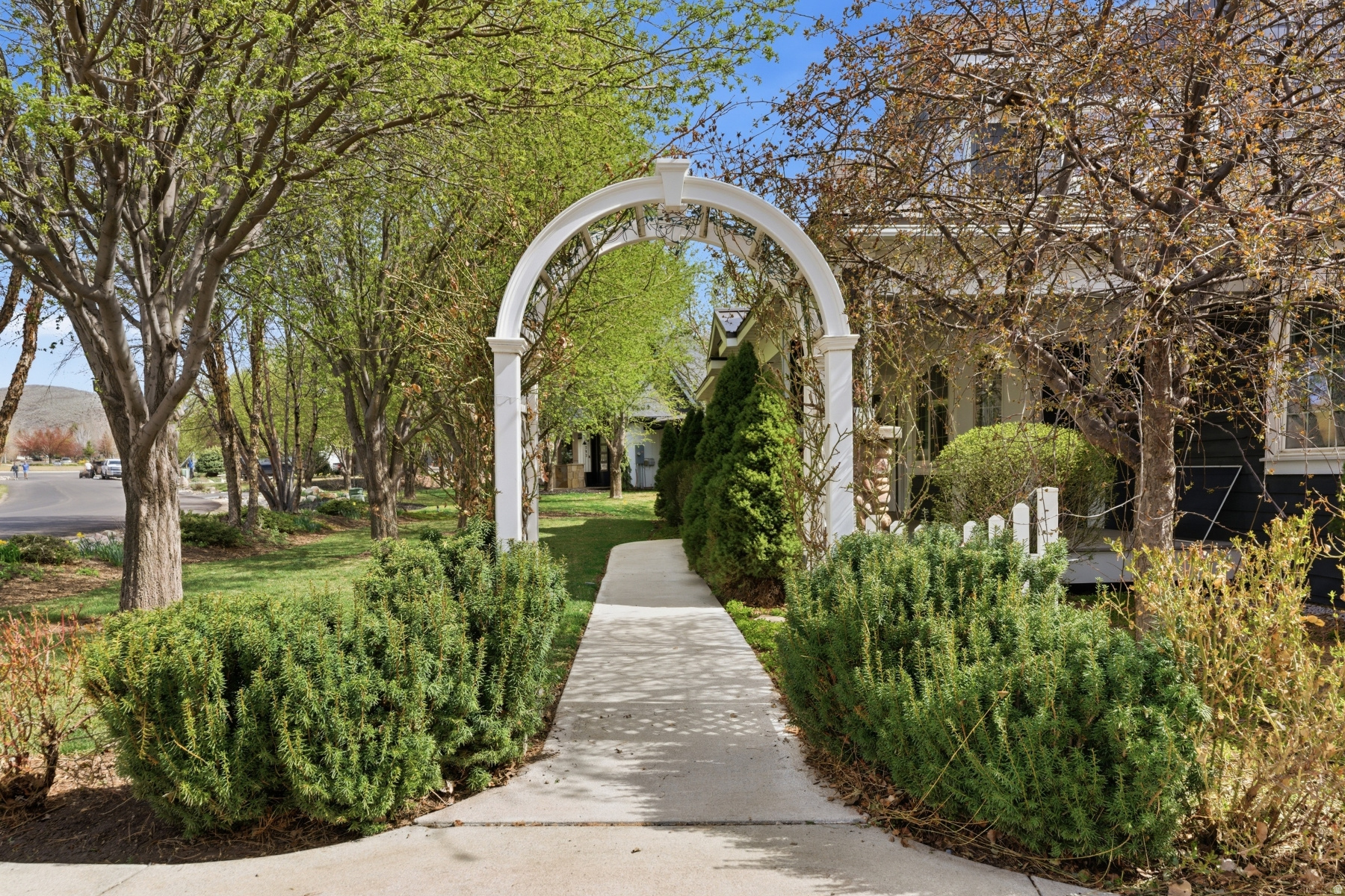 DUTCH FIELDS - Residential