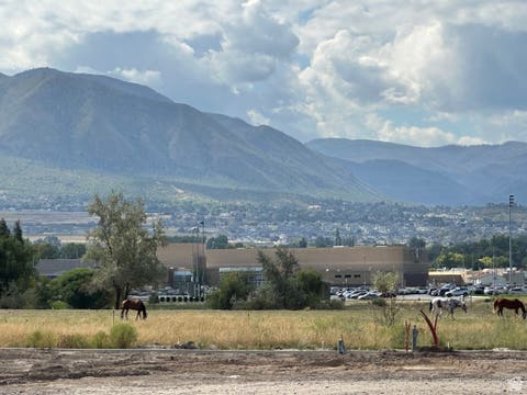 Tiny photo for 173 W 650 N #10, Salem, UT 84653 (MLS # 1977520)