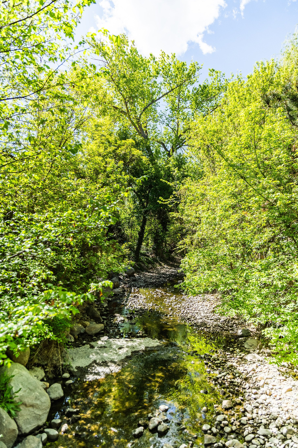 WILLOWS CONDM - Residential