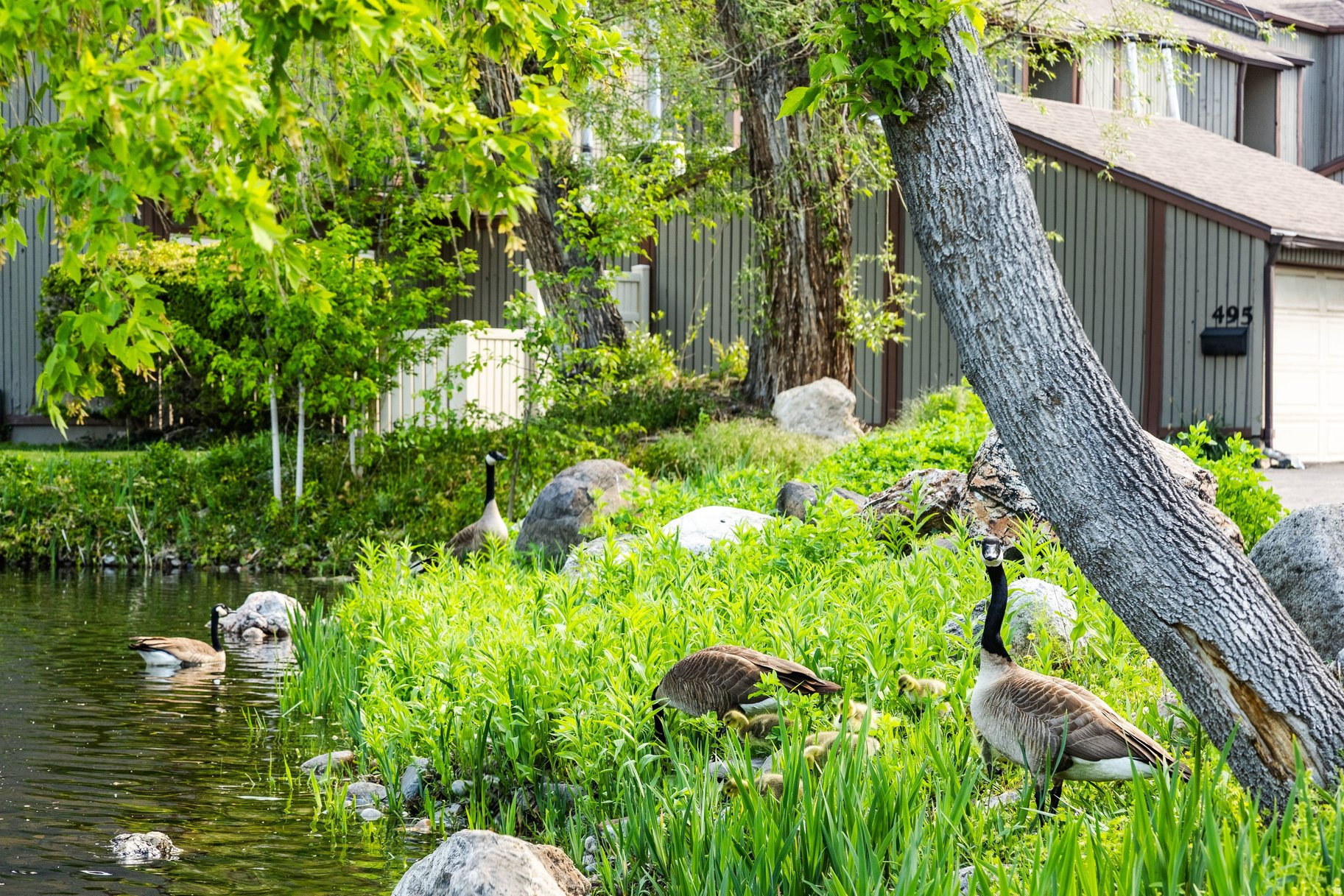 WILLOWS CONDM - Residential