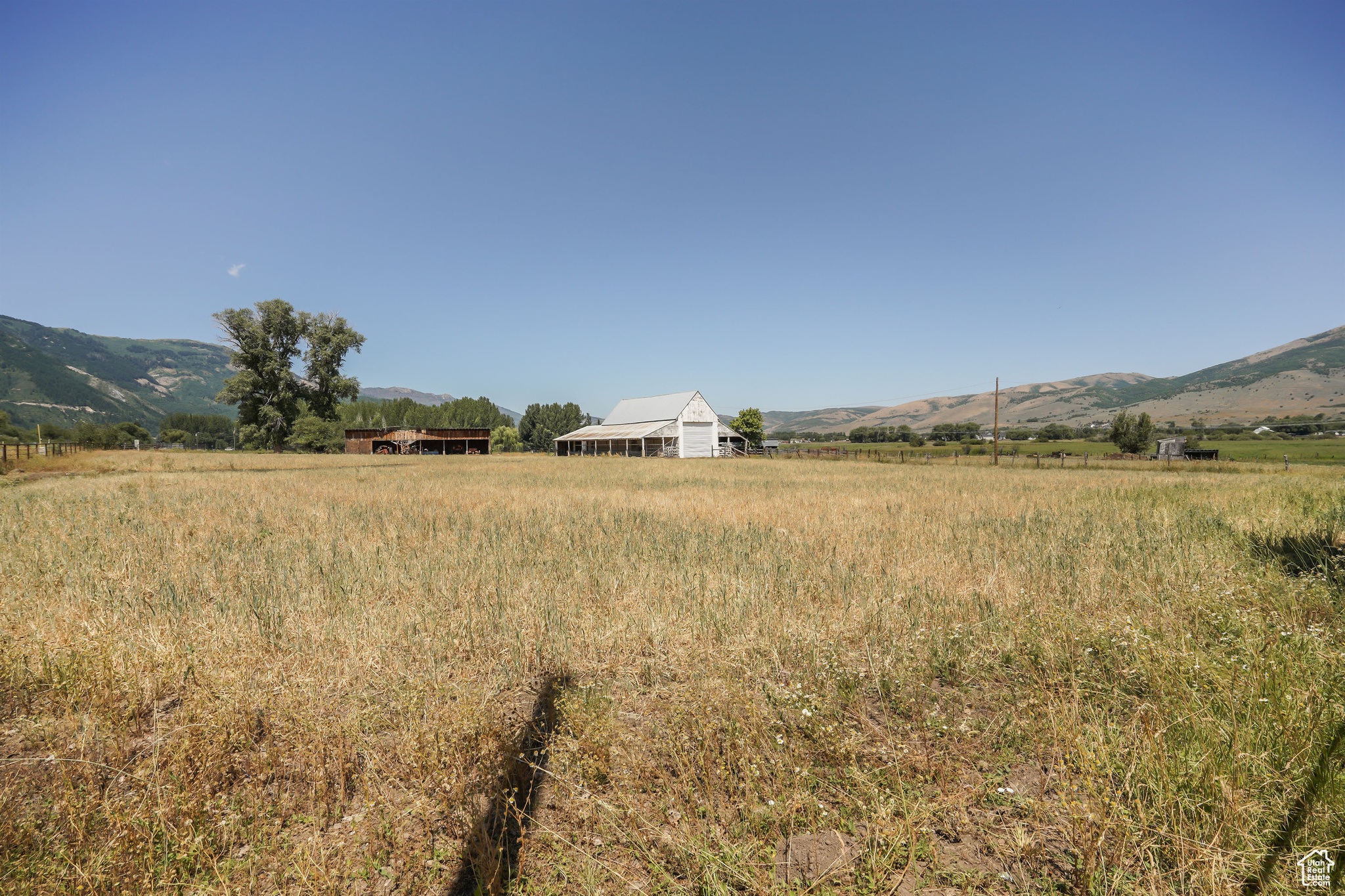 3280 N Highway 162, Eden, Utah image 39