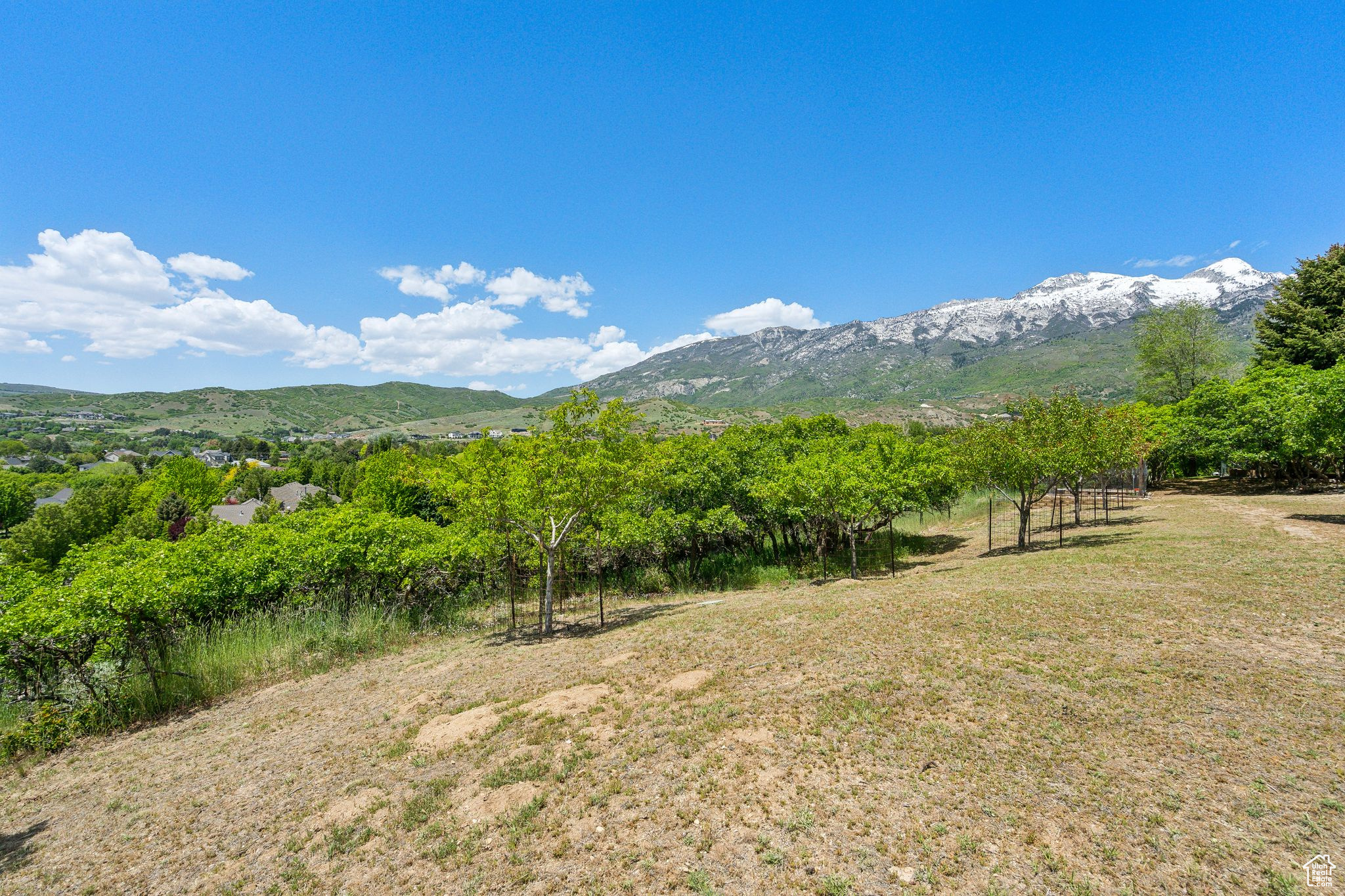 OAK KNOLL - Residential