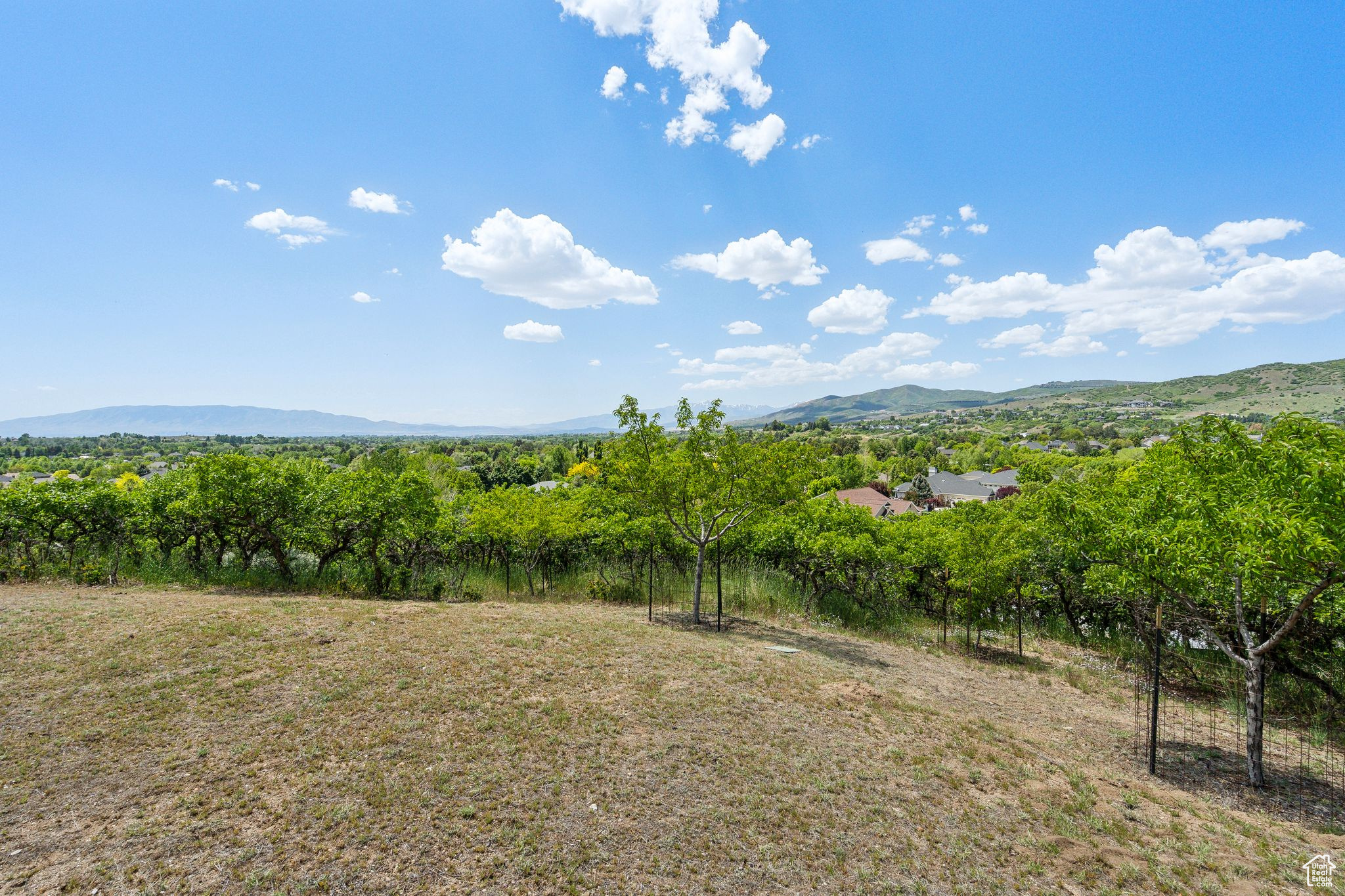 OAK KNOLL - Residential