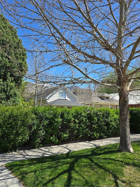 Tiny photo for 2554 QUINCY AVE, Ogden, UT 84401 (MLS # 2153662)