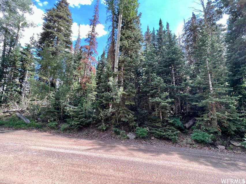 MOUNTAIR EVERGREEN - Land