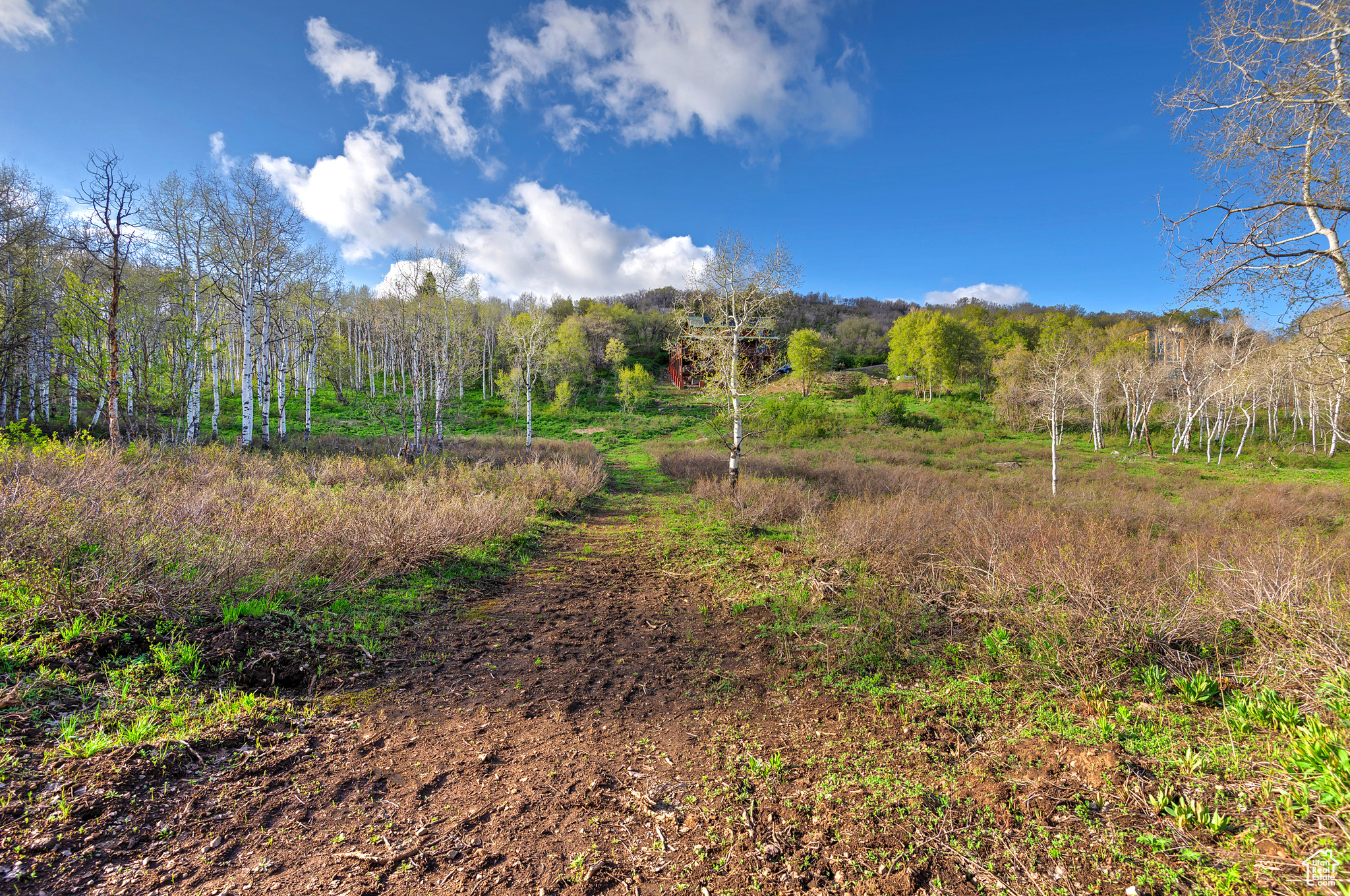 796 W Shady Ln, Coalville, Utah image 25