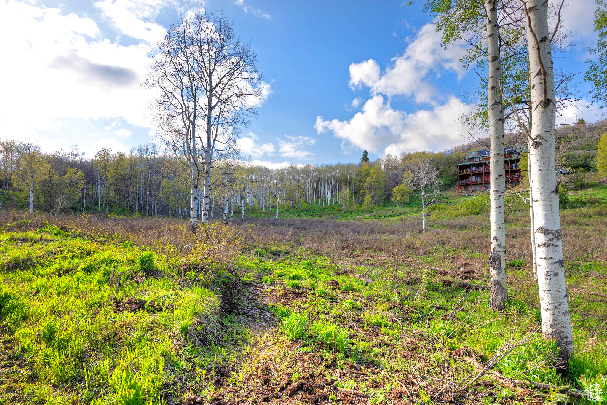 796 W Shady Ln, Coalville, Utah image 23