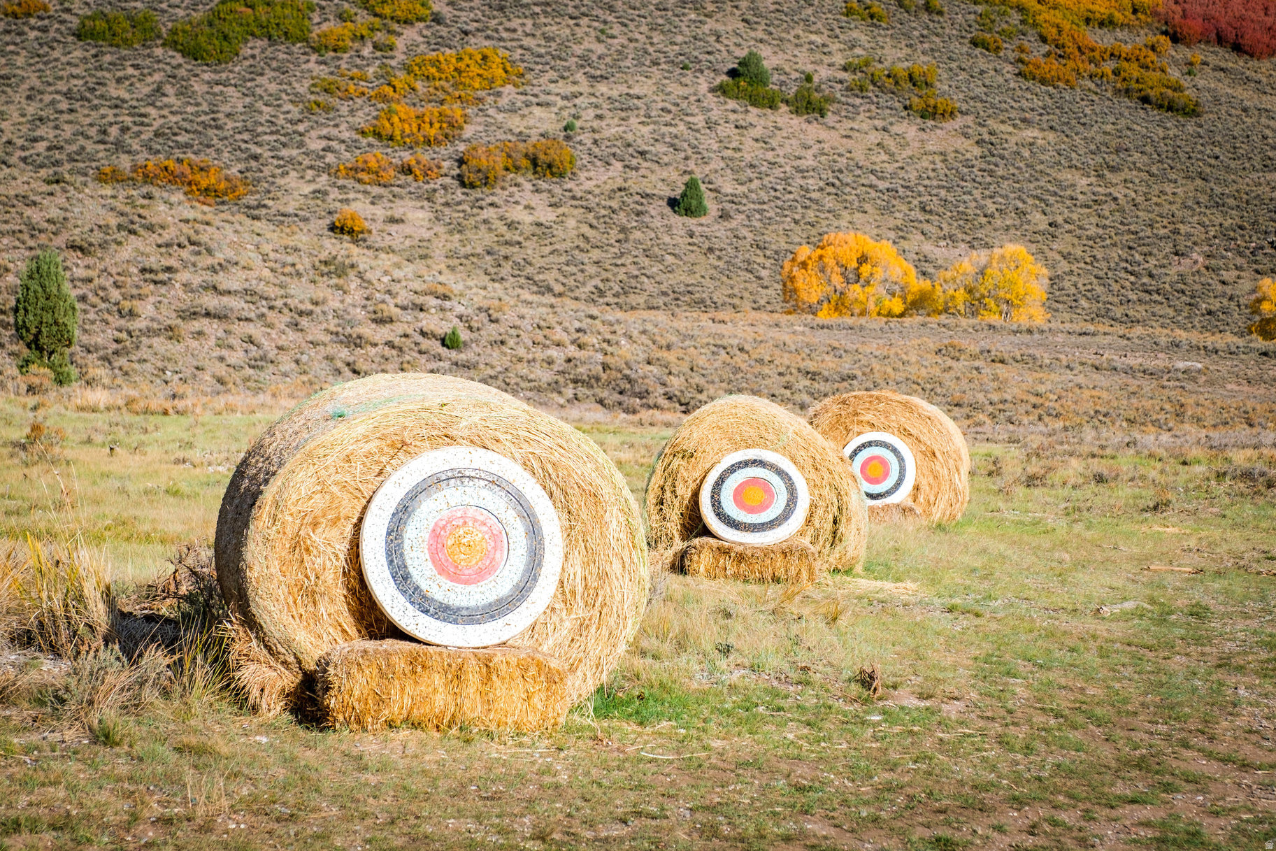 VICTORY RANCH - Residential