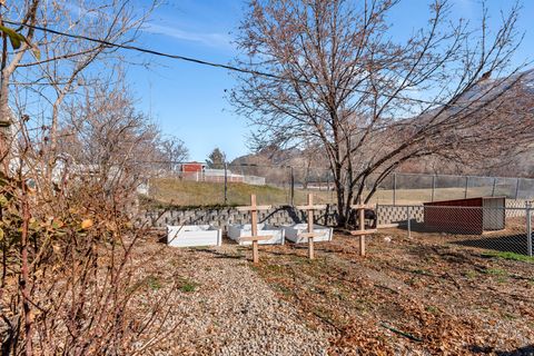 Tiny photo for 9980 N 4000 W, Cedar Hills, UT 84062 (MLS # 2141071)