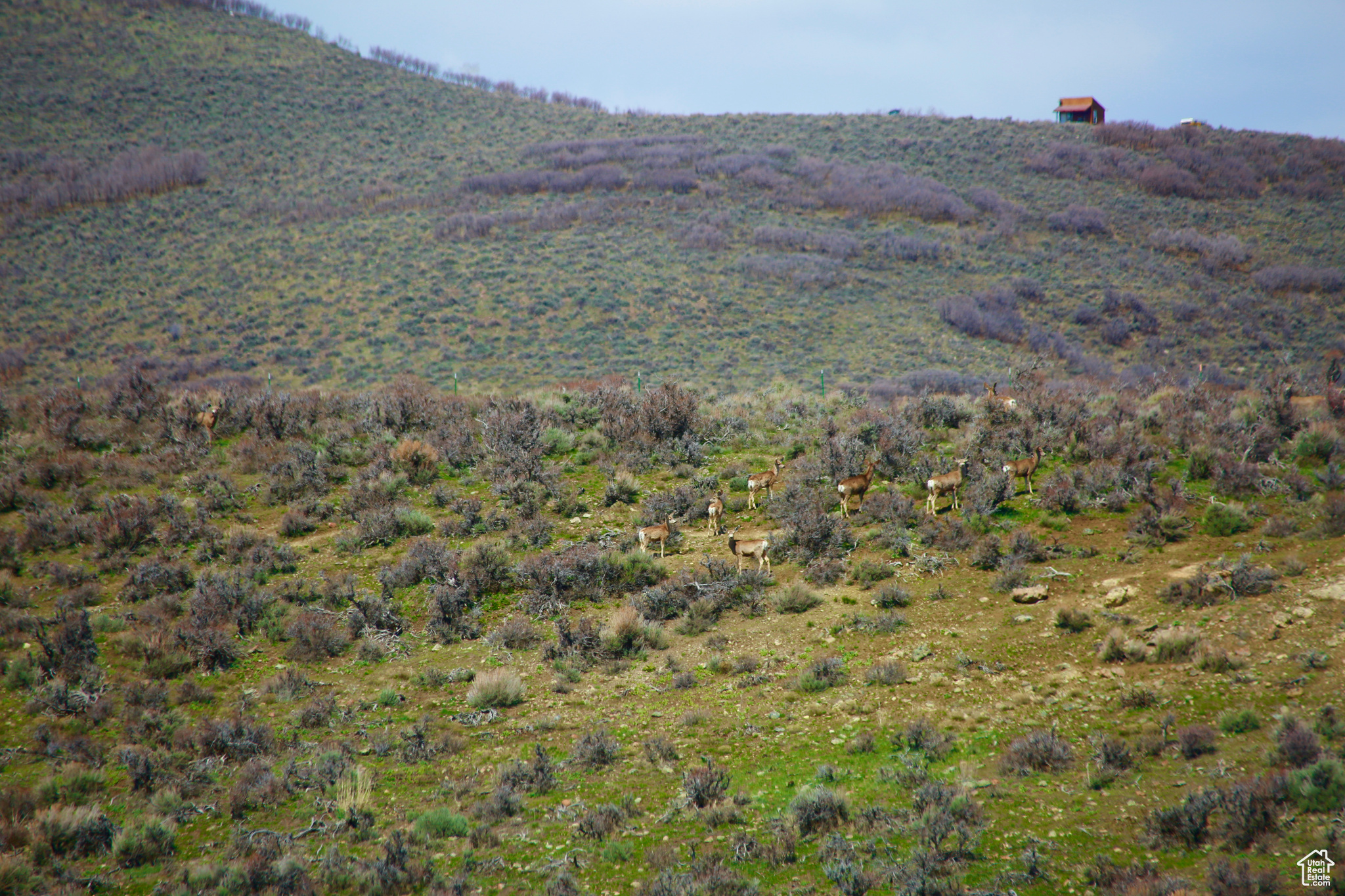 Land, Peoa, Utah image 8