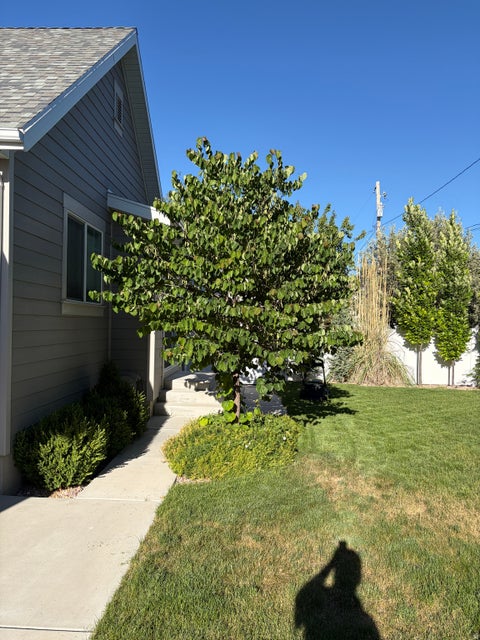 Tiny photo for 1204 E HUDSON AVE, Salt Lake City, UT 84106 (MLS # 2165140)