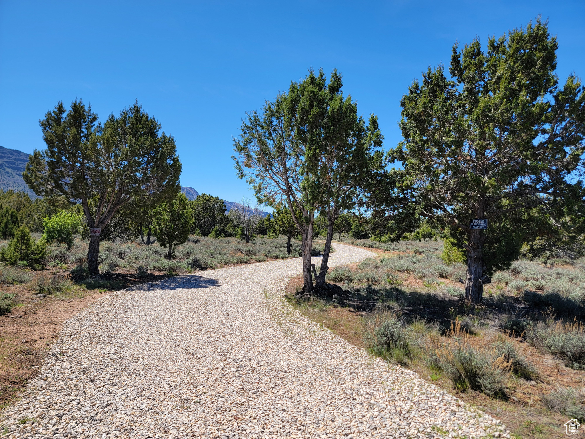 2804 E Escalantes Path #288, New Harmony, Utah image 3