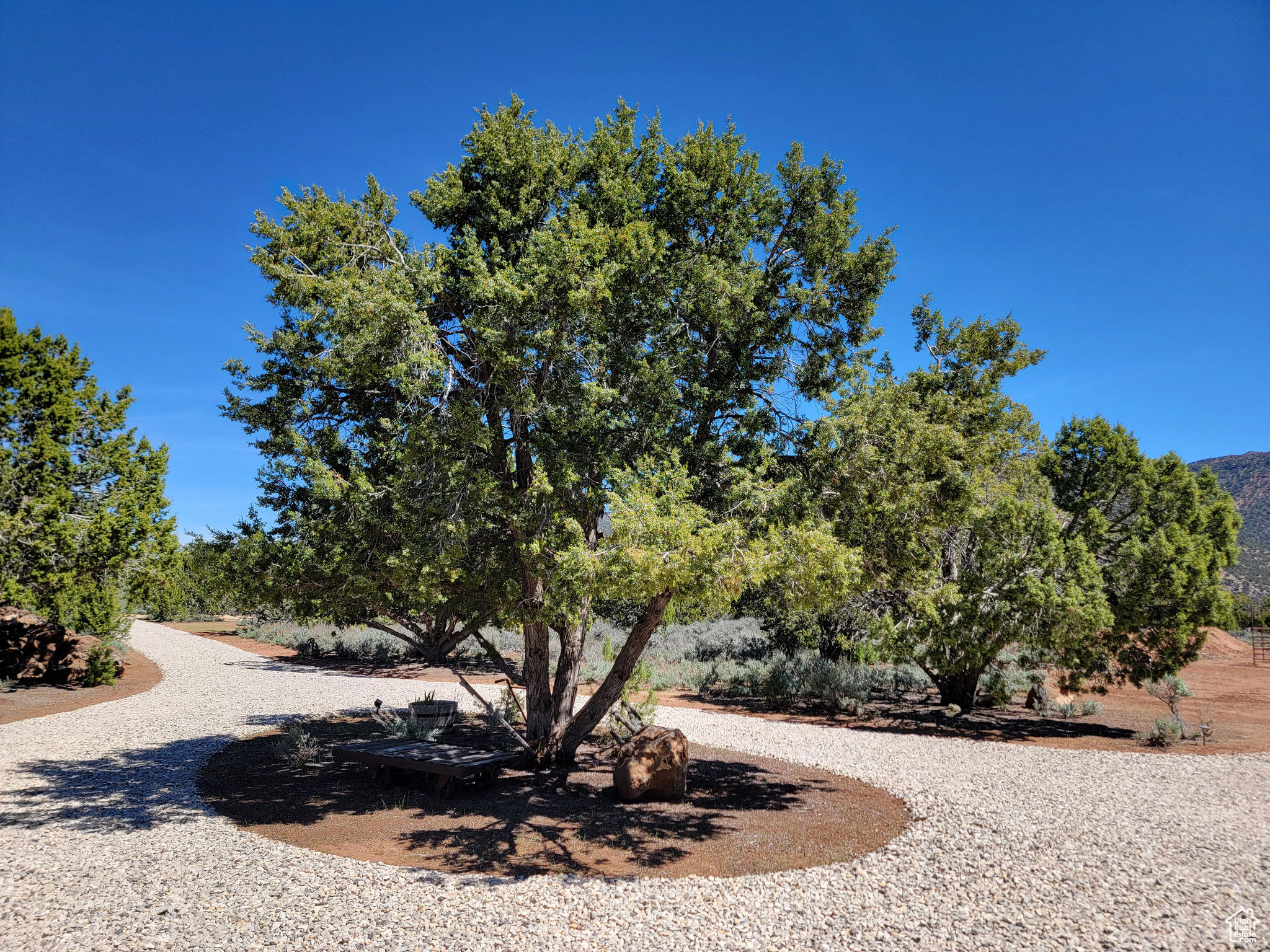 2804 E Escalantes Path #288, New Harmony, Utah image 5