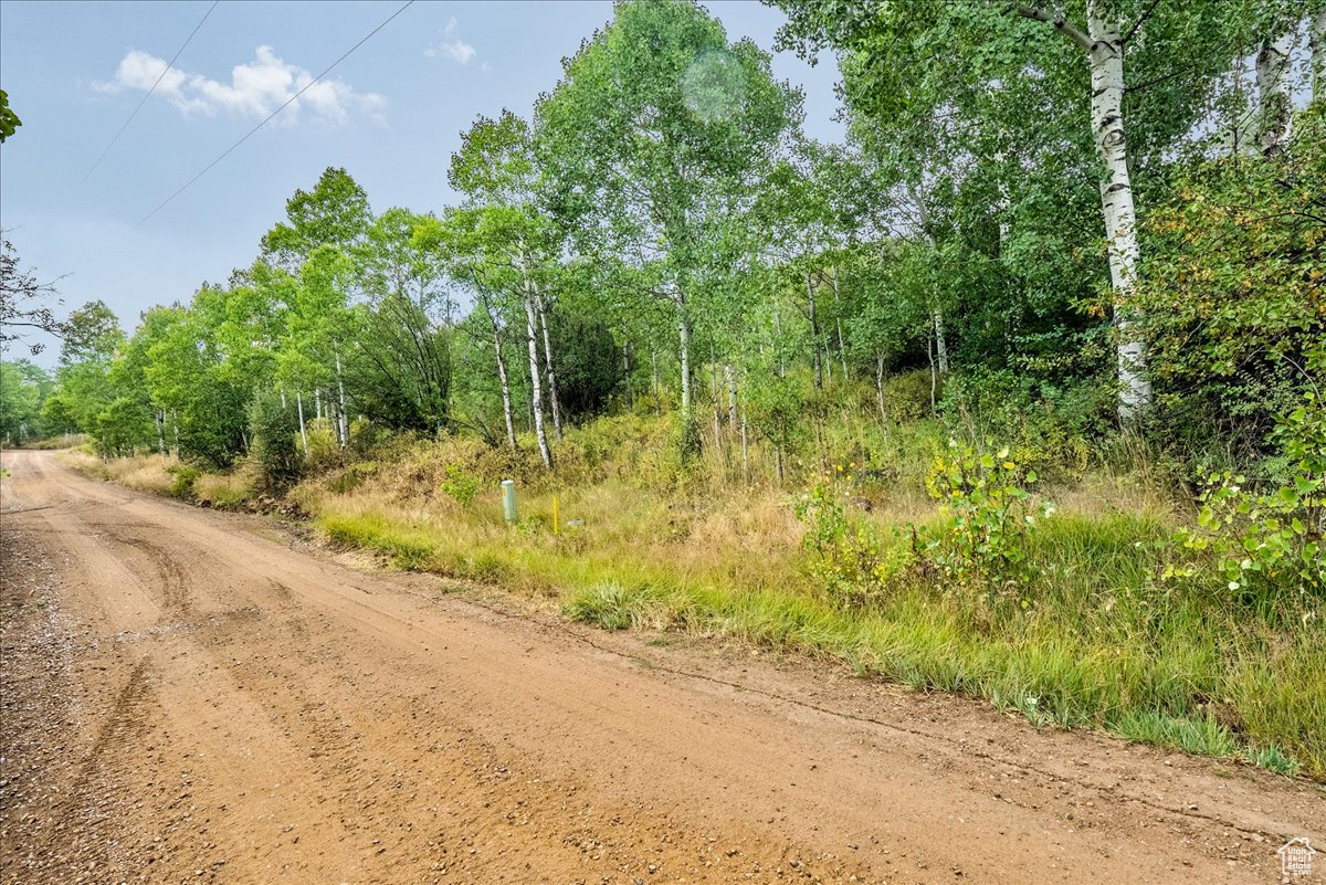 BEAVER SPRINGS - Land