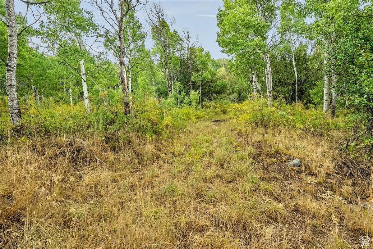 BEAVER SPRINGS - Land