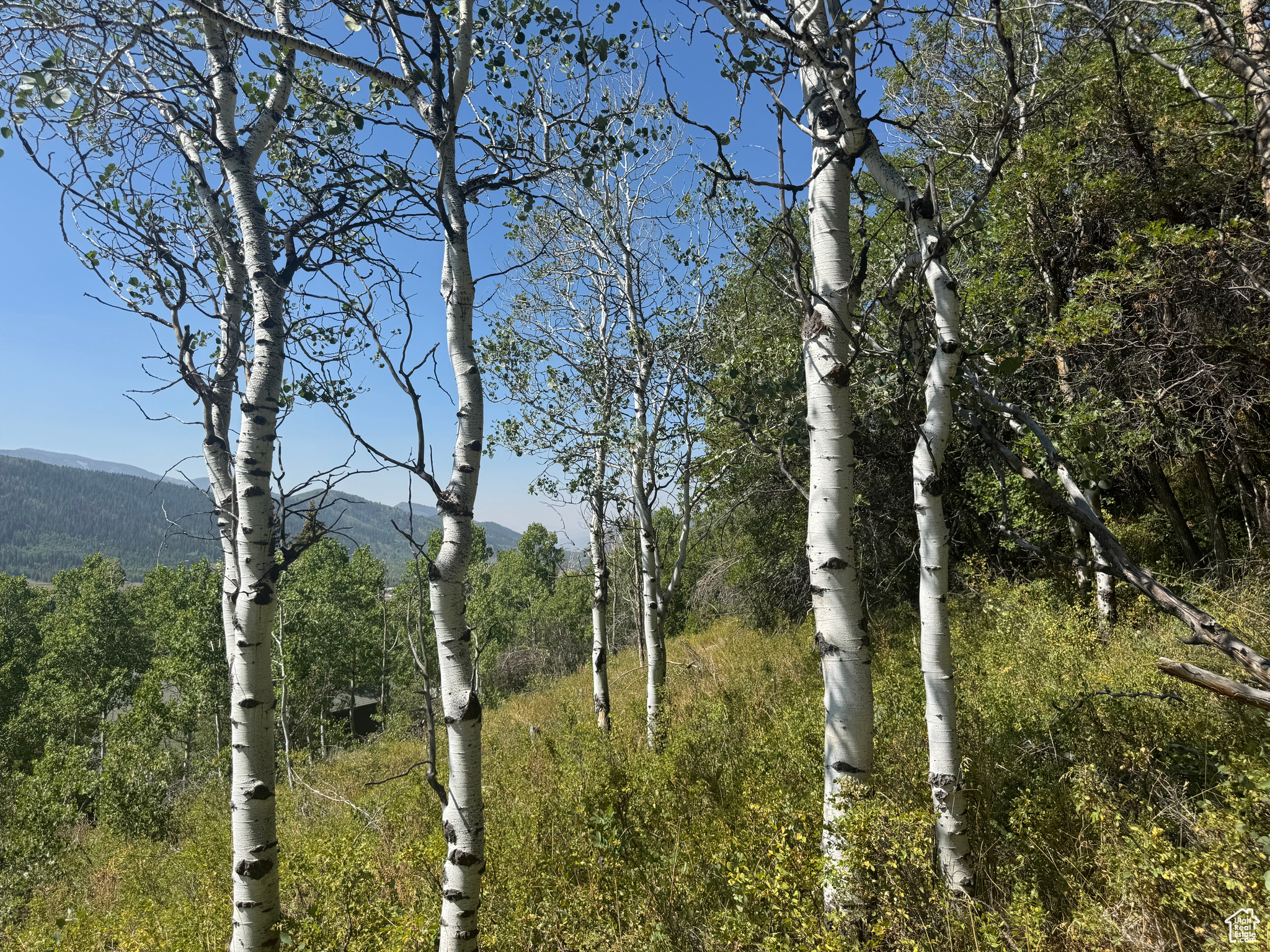 BEAVER SPRINGS - Land