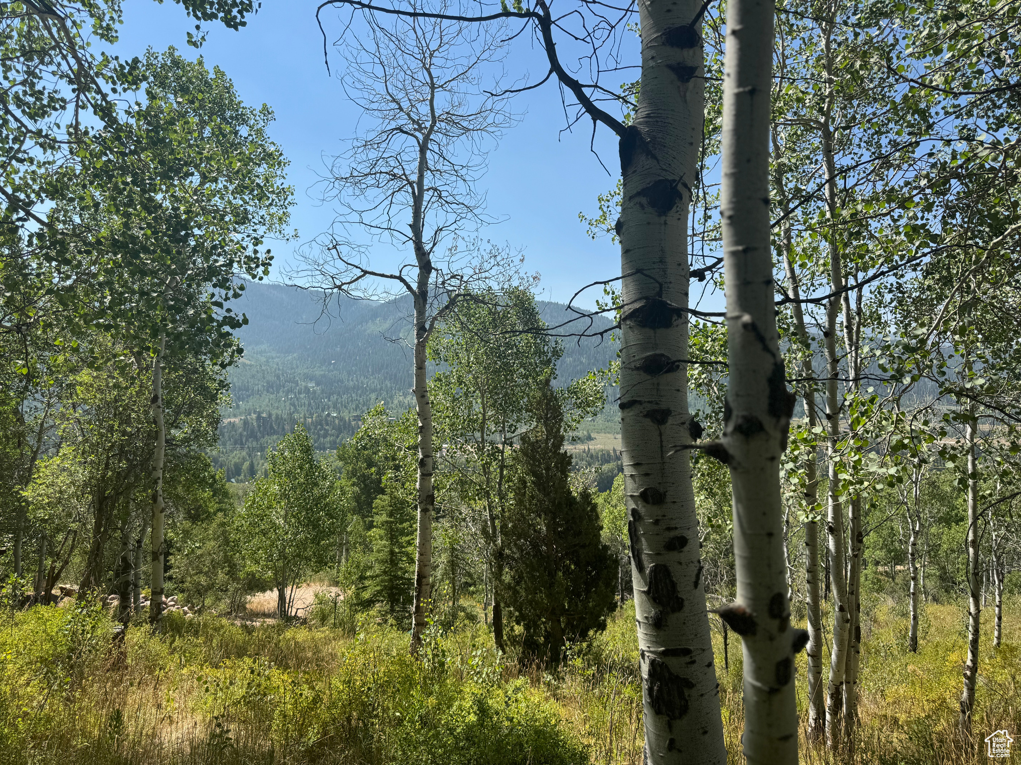 BEAVER SPRINGS - Land