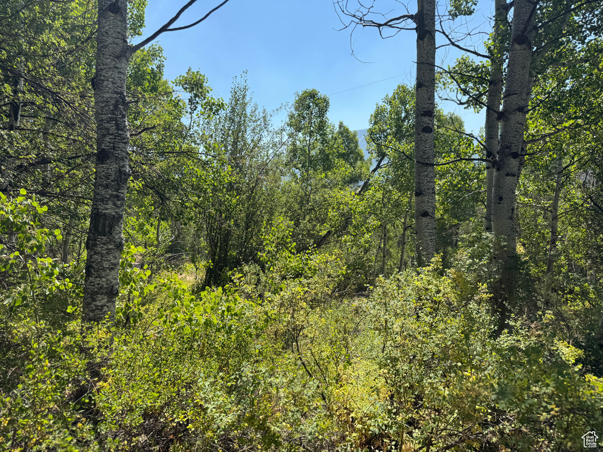 BEAVER SPRINGS - Land